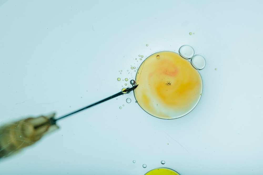 O que é implantação embrionária e quando ocorre?