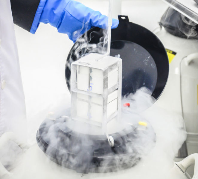 Como é feito o congelamento de embriões?