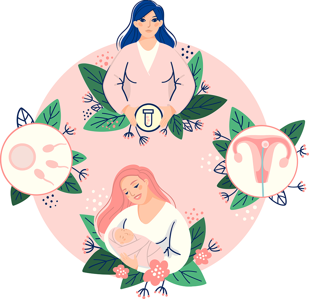 Programa de ovorecepção: como funciona?