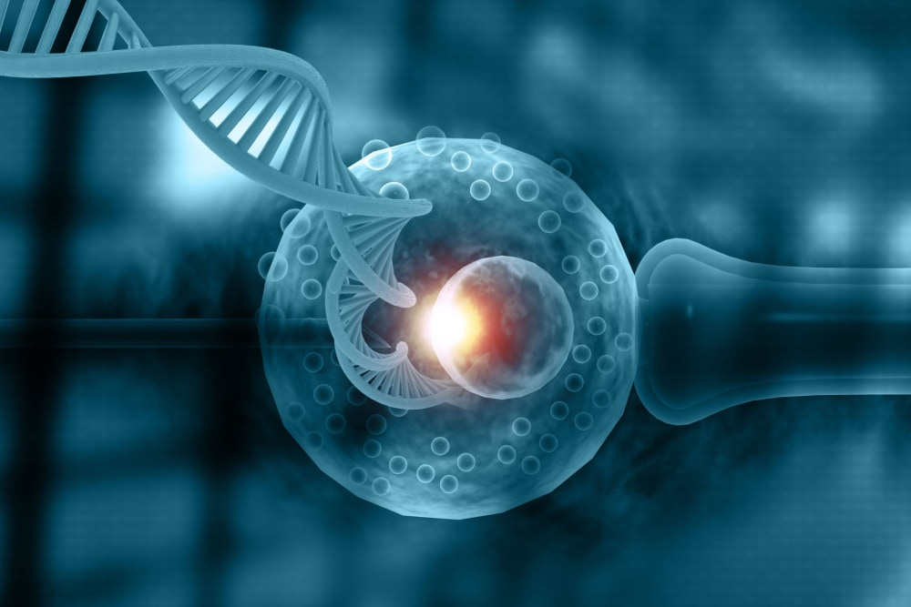 Teste genético pré-implantacional: tudo sobre o PGT-A, PGT-P e PGT-M