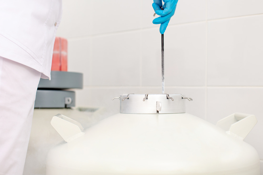 Congelar óvulos ou embriões: qual a melhor opção?