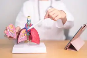 Fibrose cística: o que é, sintomas e tratamento