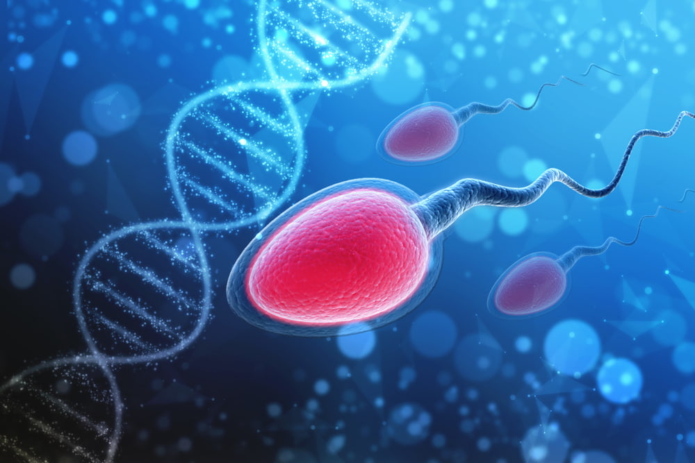 Como a motilidade espermática afeta a fertilidade?