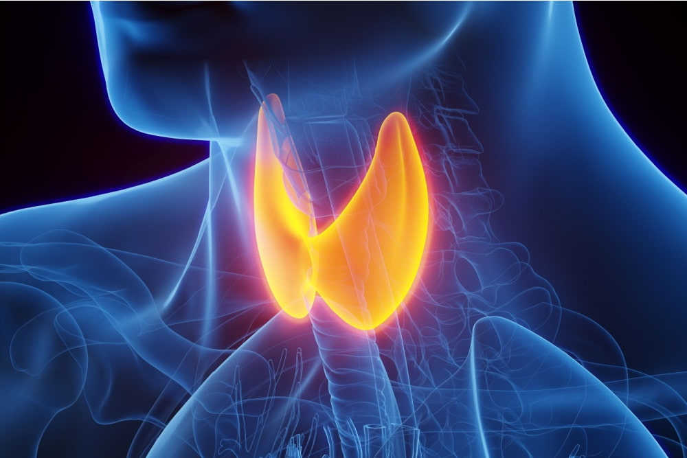 Quem tem hipotireoidismo consegue fazer a FIV?
