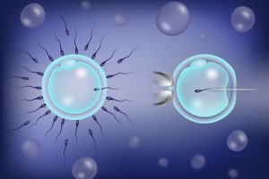 FIV clássica e FIV por ICSI: quais as diferenças?