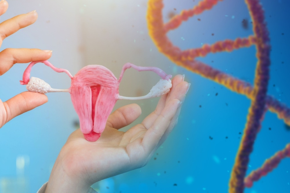 Como é a preparação para a FIV?