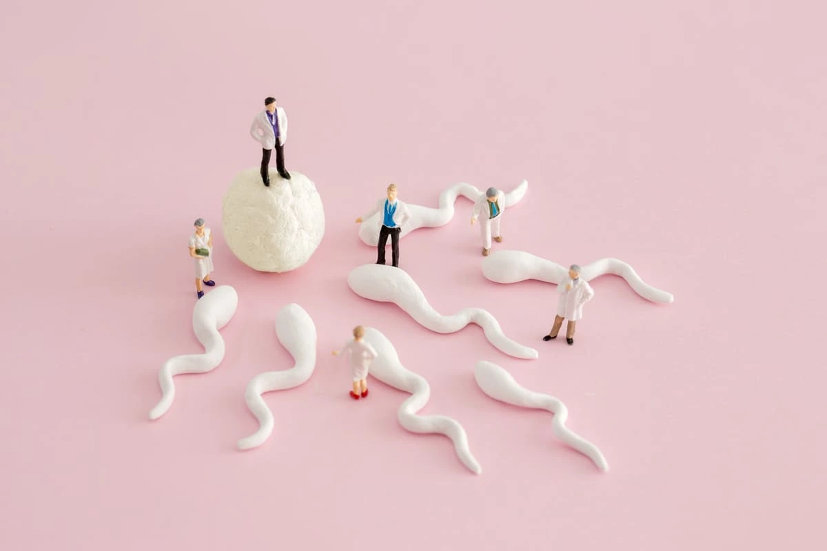 Funil da FIV: entenda as etapas da Fertilização in Vitro