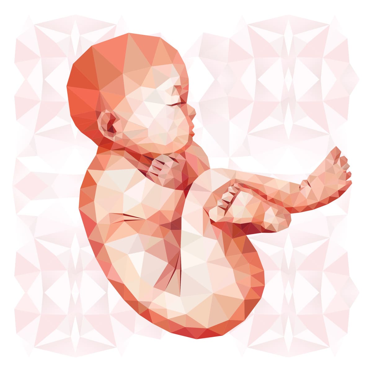 Mosaicismo embrionário: é seguro transferir?