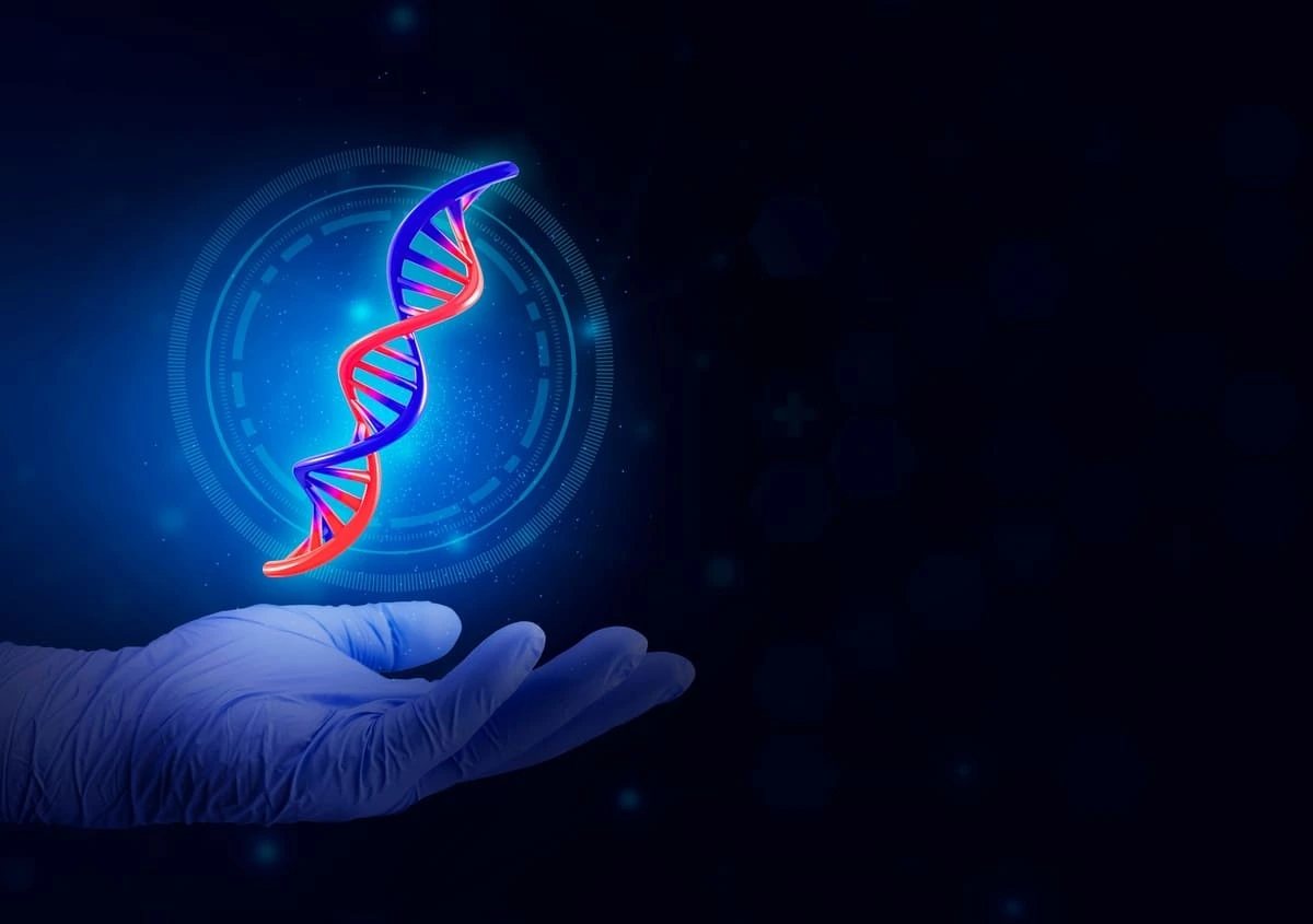 Conheça os principais testes genéticos