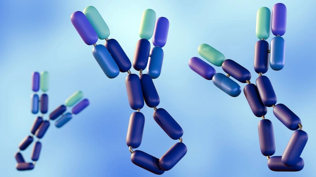 Uso da imunoglobulina na FIV: como esse tratamento pode ajudar após falhas de implantação